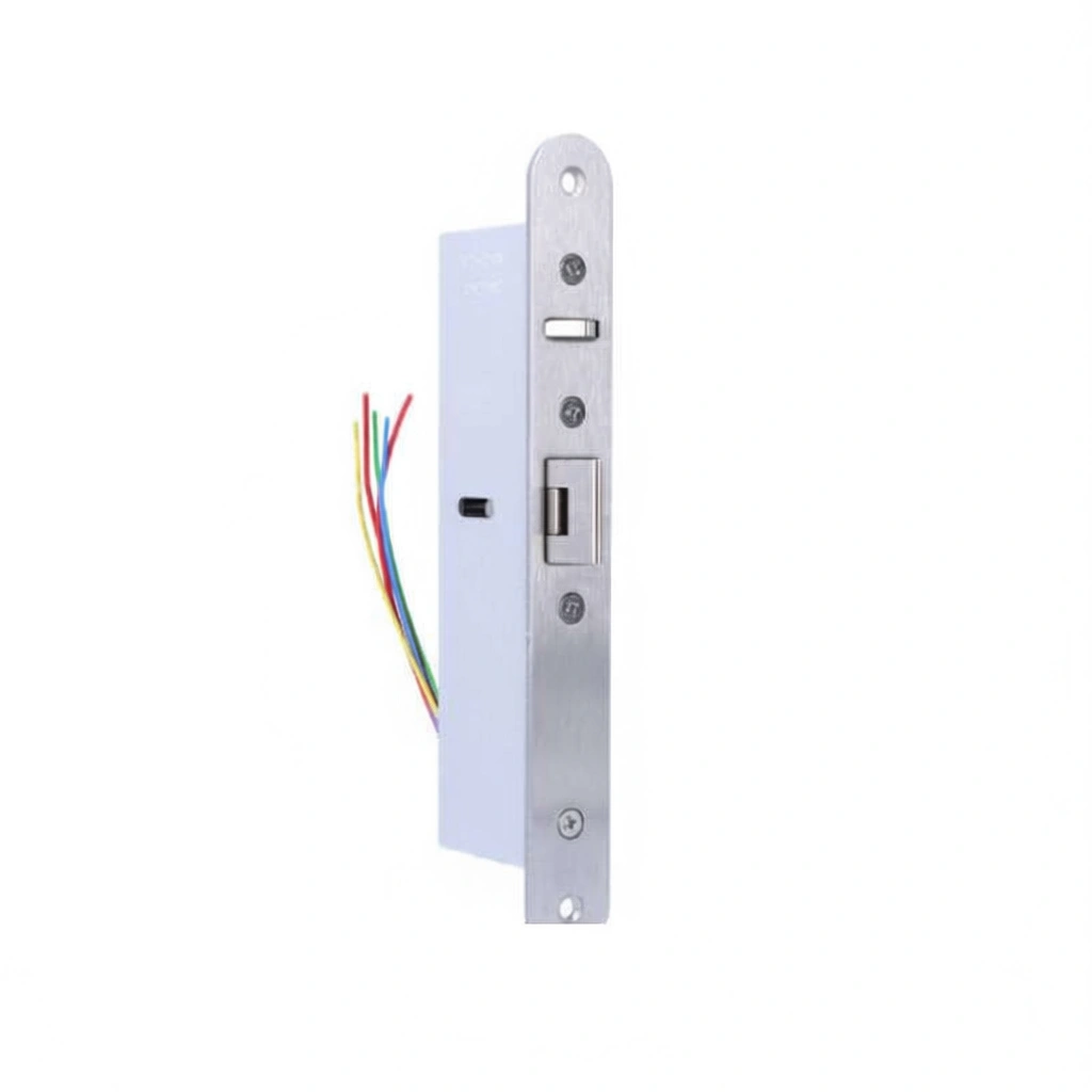 envato-labs-image-edit - 2025-12-31T103100.086