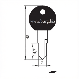 Burg Wachter 40 LW key blank