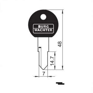 Burg Wachter 40 RW key blank