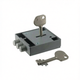 Wittkopp CAWI 1387